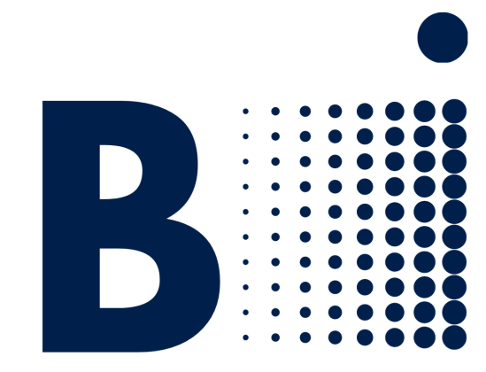 Bintelligence logo